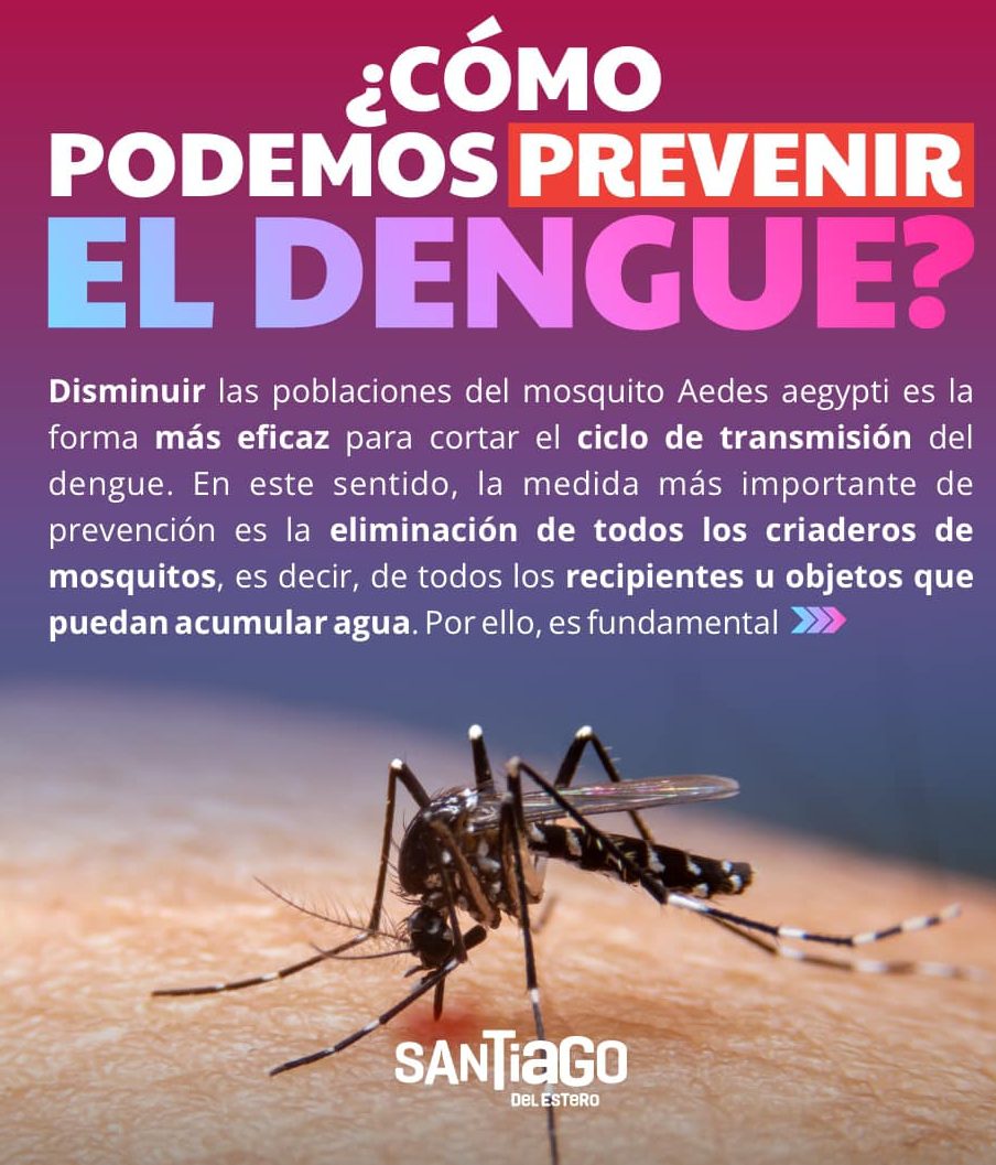 Prevenir es la mejor manera de combatir el dengue