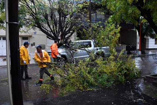 INTENSO TRABAJO DE DEFENSA CIVIL  TRAS EL TEMPORAL