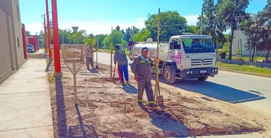 La Municipalidad aplicó su programa de plantaciones en los dúplex del barrio Islas Malvinas