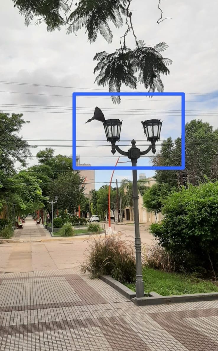 Electricidad de la Municipalidad denunció robos y daños al alumbrado del Paseo España