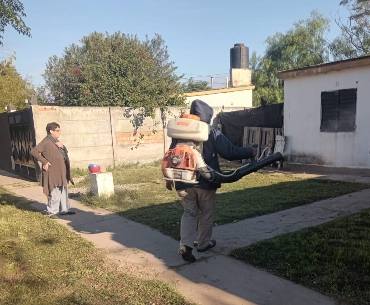 Salud y Calidad de Vida de la municipalidad continúan con los operativos contra el mosquito aedes aegypti