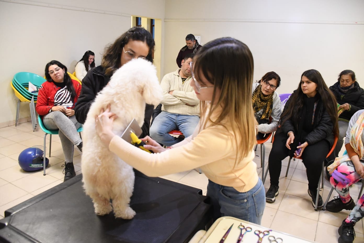 Desarrollo Comunitario de la Capital realizó un curso gratuito de formación en peluqueria canina