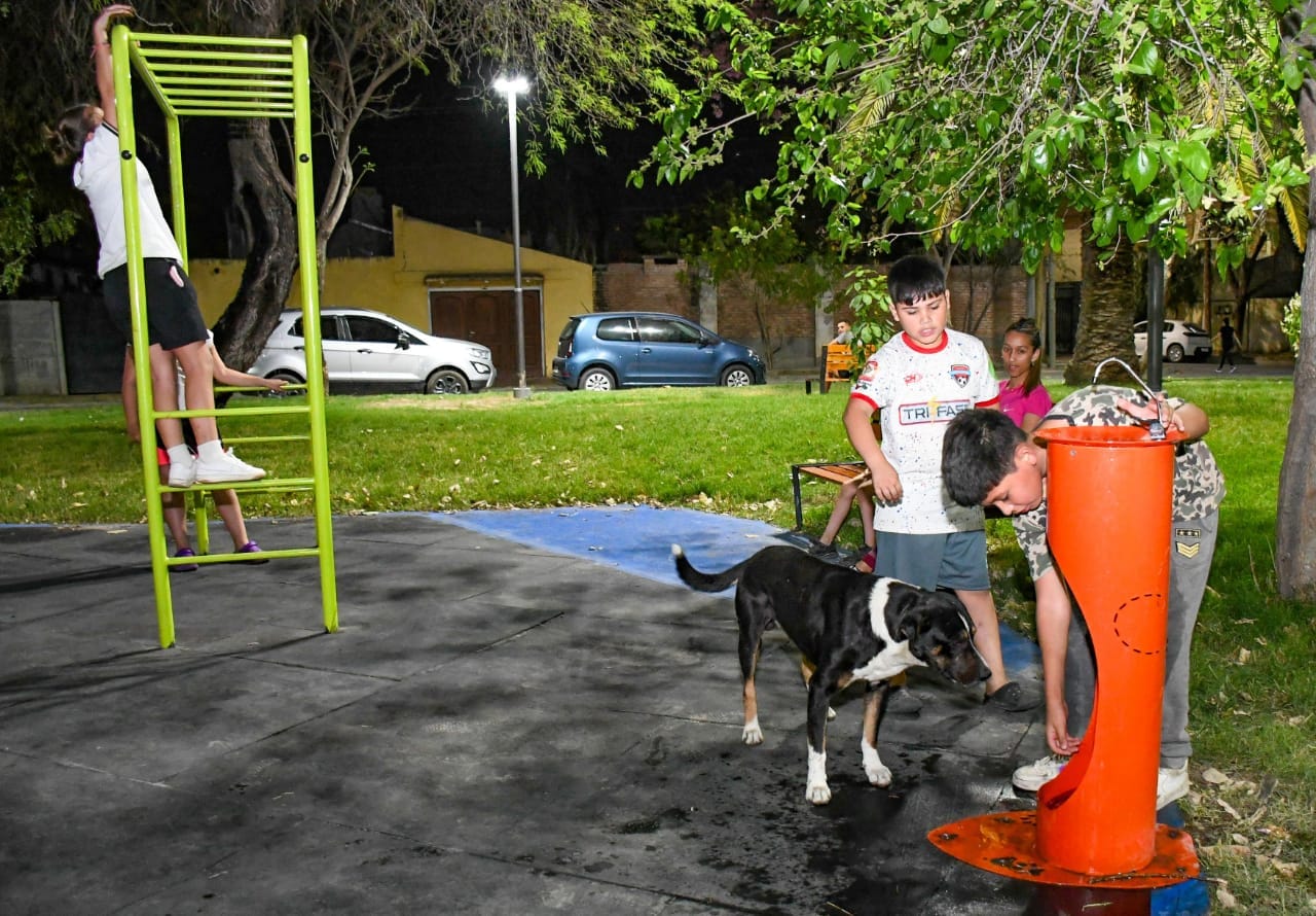 La Municipalidad incorporó bebederos para mascotas ampliando el equipamiento en espacios verdes
